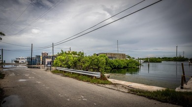 This property encompasses 15 Seaview Ave, 5 Seaview Ave, and a - photo 36