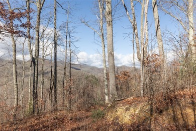 Tucked away in approximately 60.30+/- acres of unrestricted - photo 36
