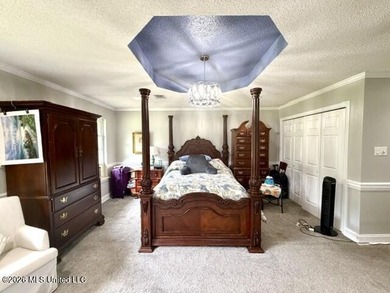 Welcome home to this spacious and beautifully laid out - photo 36