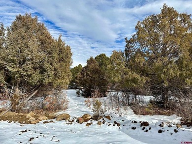 Mark J Covington, RE/MAX Alpine View, C:,,: .919 acre lot with a - photo 7