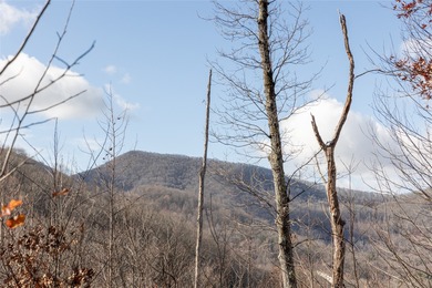 Tucked away in approximately 60.30+/- acres of unrestricted - photo 37