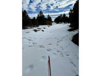Mark J Covington, RE/MAX Alpine View, C:,,: .919 acre lot with a - photo 8