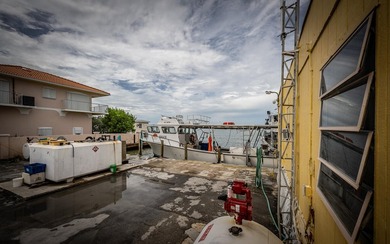 This property encompasses 15 Seaview Ave, 5 Seaview Ave, and a - photo 38