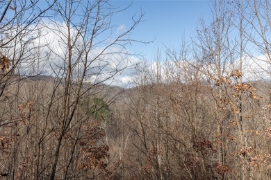 Tucked away in approximately 60.30+/- acres of unrestricted - photo 38