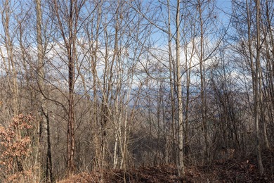 Tucked away in approximately 60.30+/- acres of unrestricted - photo 39