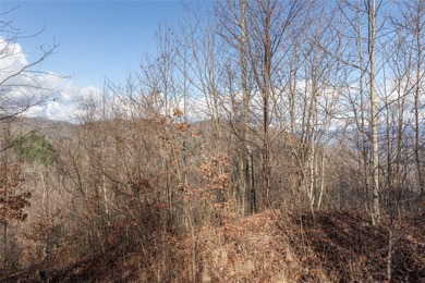 Tucked away in approximately 60.30+/- acres of unrestricted - photo 40