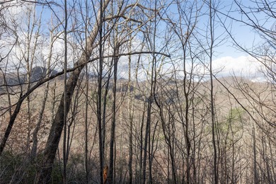 Tucked away in approximately 60.30+/- acres of unrestricted - photo 41
