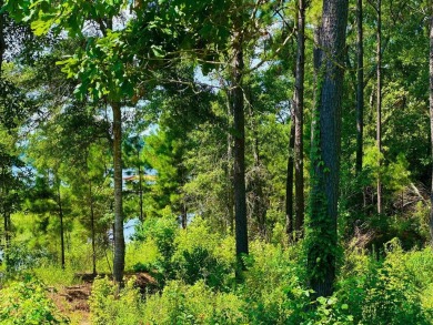 Lake Lot For Sale in Hemphill, Texas