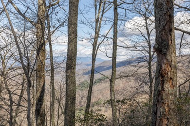 Tucked away in approximately 60.30+/- acres of unrestricted - photo 42