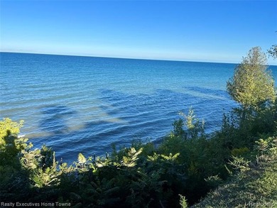 Prime Lake Huron frontage! This exceptional property offers 100 - photo 3