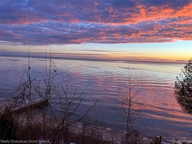 Prime Lake Huron frontage! This exceptional property offers 100 - photo 6