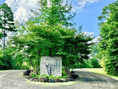 Lake Lot For Sale in Hemphill, Texas