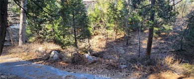 Lake Arrowhead Lot For Sale in Lake Arrowhead California