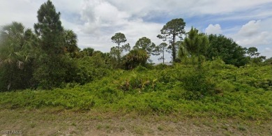Lehigh Acres Area Lot For Sale in Lehigh Acres Florida