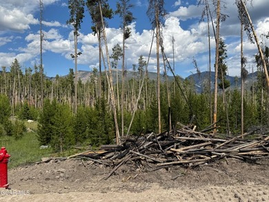Perfect horse property close to Grand Lake. Lot 3 offers a rare - photo 13