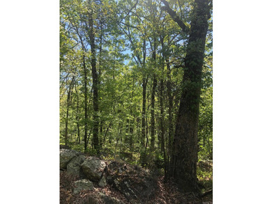 LAKEFRONT/LAKEVIEW lot with a great white line location. A - photo 2