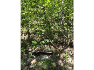 LAKEFRONT/LAKEVIEW lot with a great white line location. A - photo 3