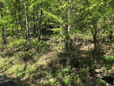 LAKEFRONT/LAKEVIEW lot with a great white line location. A - photo 4