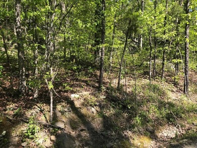 LAKEFRONT/LAKEVIEW lot with a great white line location. A - photo 5