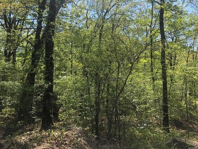 LAKEFRONT/LAKEVIEW lot with a great white line location. A - photo 6