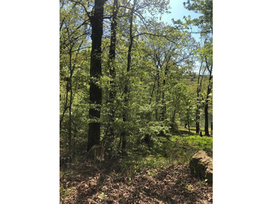 LAKEFRONT/LAKEVIEW lot with a great white line location. A - photo 7