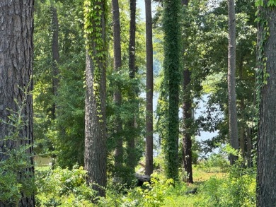 Toledo Bend Lake Lot For Sale in Hemphill Texas