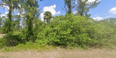 Lehigh Acres Area Lot For Sale in Lehigh Acres Florida