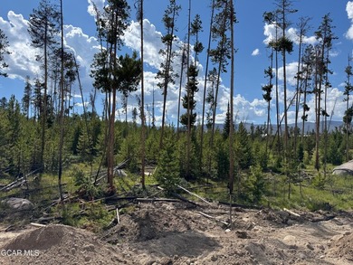 Lot 4 is a rare two-acre homesite located within the Town of - photo 17