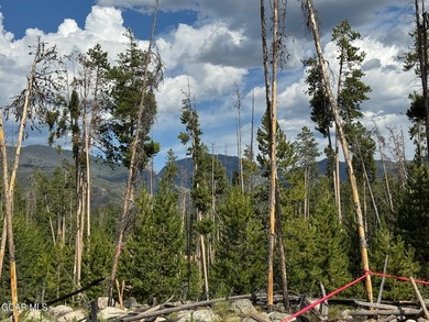 Lot 4 is a rare two-acre homesite located within the Town of - photo 19