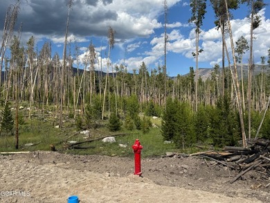 Lot 4 is a rare two-acre homesite located within the Town of - photo 20