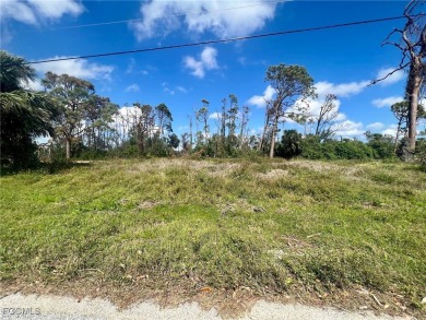 Rotonda West Lakes and Canals Lot For Sale in Rotonda West Florida
