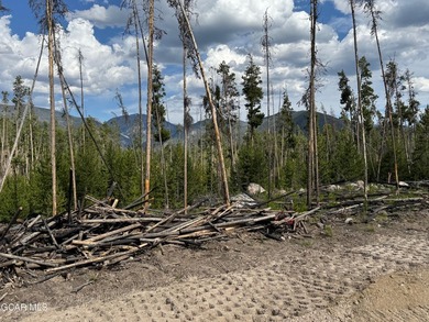 Lot 4 is a rare two-acre homesite located within the Town of - photo 21