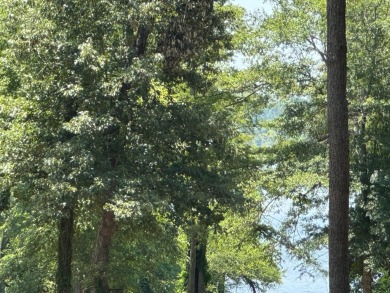 1.250 Acre Waterview Lot on a quiet cul-de-sac available at - Lake Lot Off Market in Hemphill, Texas