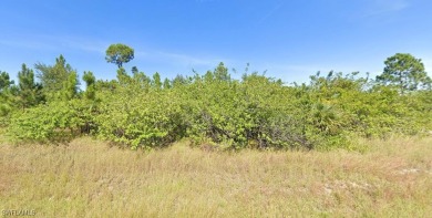 Lehigh Acres Area Lot For Sale in Lehigh Acres Florida