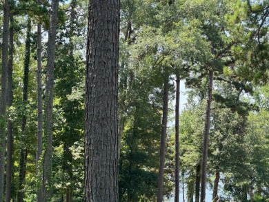 Toledo Bend Lake Lot For Sale in Hemphill Texas