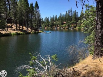 Pine Mountain Lake Lot Sale Pending in Groveland California