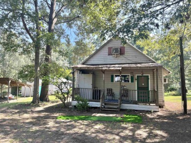Discover the Charm of this cozy little cottage in the Shamrock - Lake Home For Sale in Milam, Texas