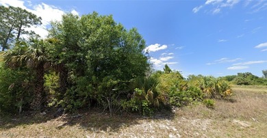 Lehigh Acres Area Lot For Sale in Lehigh Acres Florida