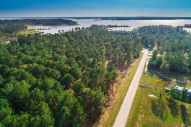 Lake Acreage For Sale in Bronson, Texas