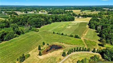 Development acreage with shared ownership of the 12 acre spring - photo 8