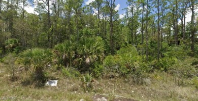 Lehigh Acres Area Lot For Sale in Lehigh Acres Florida