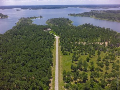 Lake Acreage For Sale in Bronson, Texas