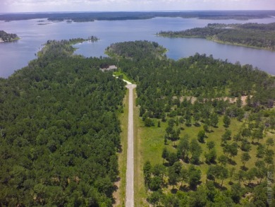 Lake Sam Rayburn  Acreage For Sale in Bronson Texas