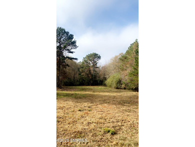 This Property is made of 146+/- acres. It is a beautiful - photo 18