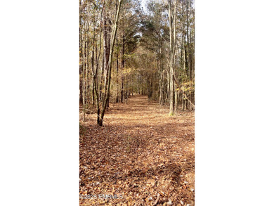 This Property is made of 146+/- acres. It is a beautiful - photo 19