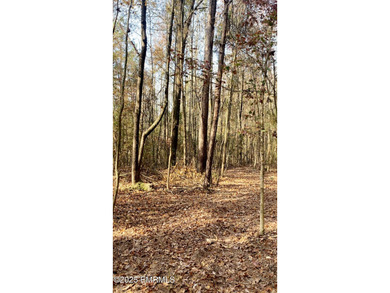 This Property is made of 146+/- acres. It is a beautiful - photo 22