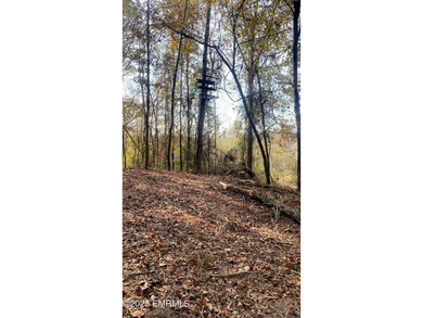 This Property is made of 146+/- acres. It is a beautiful - photo 23