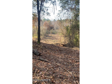 This Property is made of 146+/- acres. It is a beautiful - photo 24