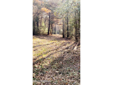 This Property is made of 146+/- acres. It is a beautiful - photo 25