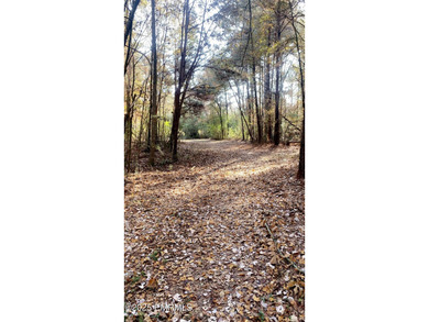 This Property is made of 146+/- acres. It is a beautiful - photo 26